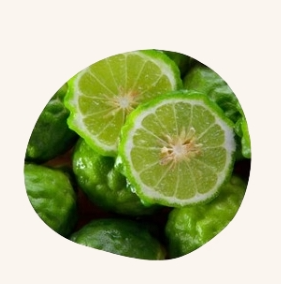 Bergamotte - Citrus - DEO - Endro